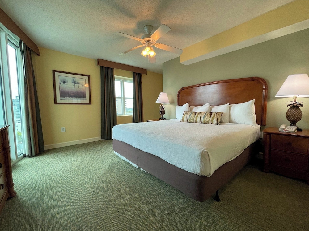 Standard Condo, 1 Bedroom, City View photo 2