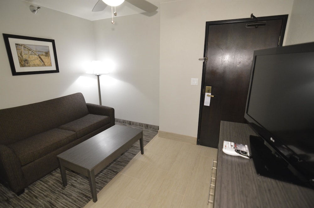 Suite, 1 King Bed with Sofa bed, Non Smoking, Kitchenette (with Sofabed) photo 2