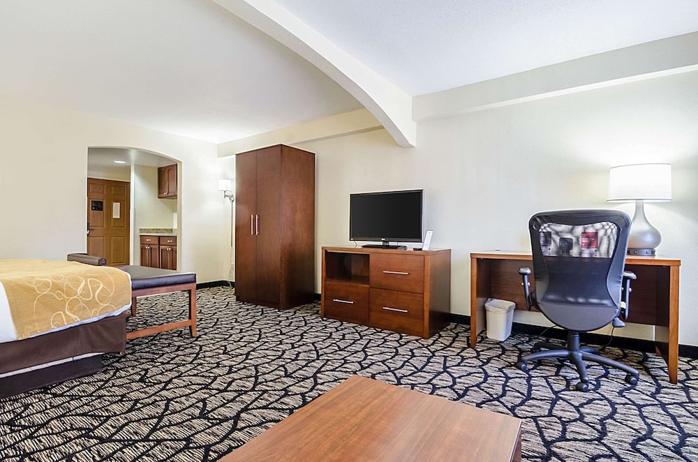 Studio Suite, 1 King Bed with Sofa bed, Accessible, Non Smoking - Photo 6
