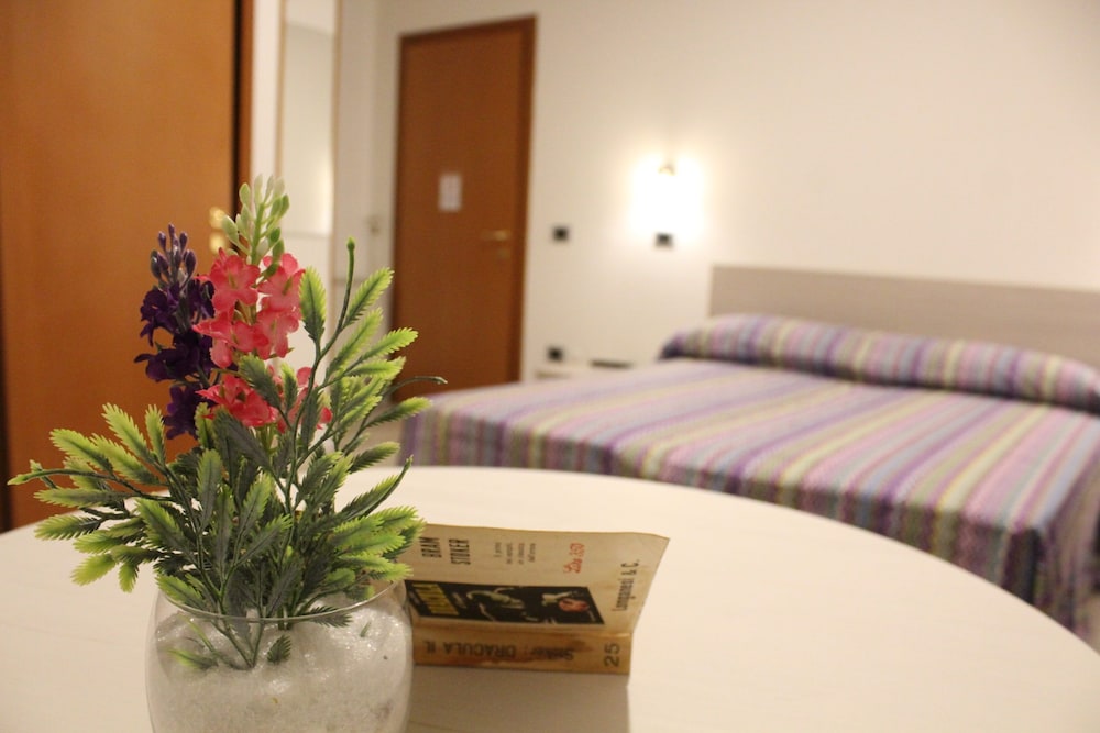 Basic Double or Twin Room