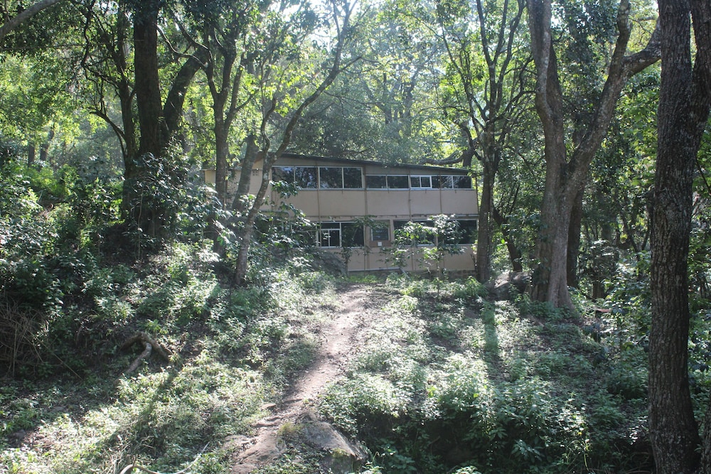 Tree House, Mountain View