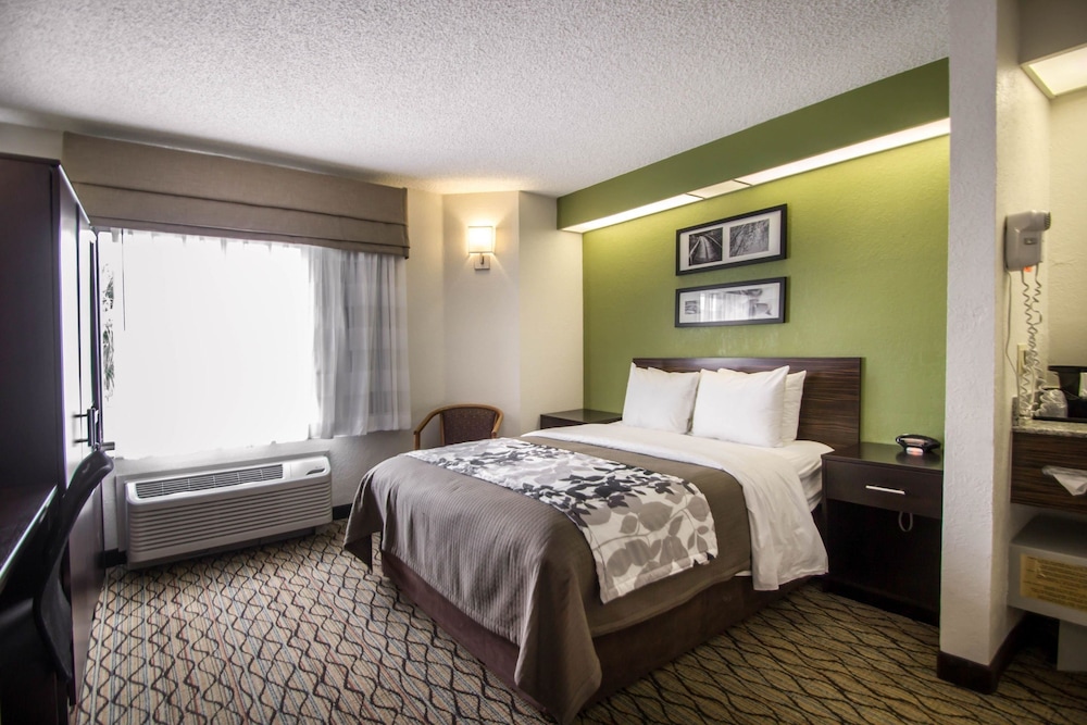 Standard Room, 1 Queen Bed, Non Smoking - Photo 3