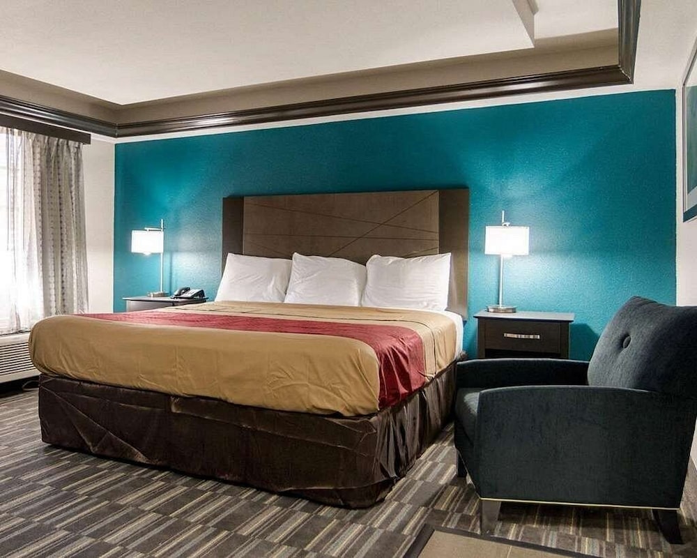 Single Room, 1 King Bed, Non Smoking photo 2