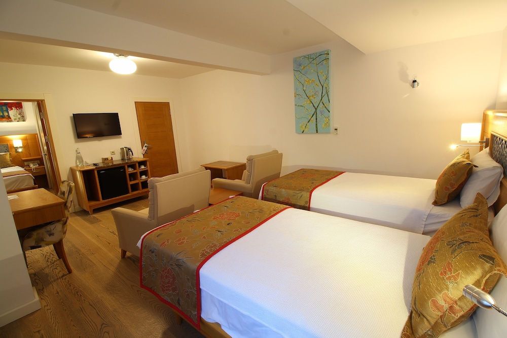 Deluxe Quadruple Room, 1 Bedroom photo 2
