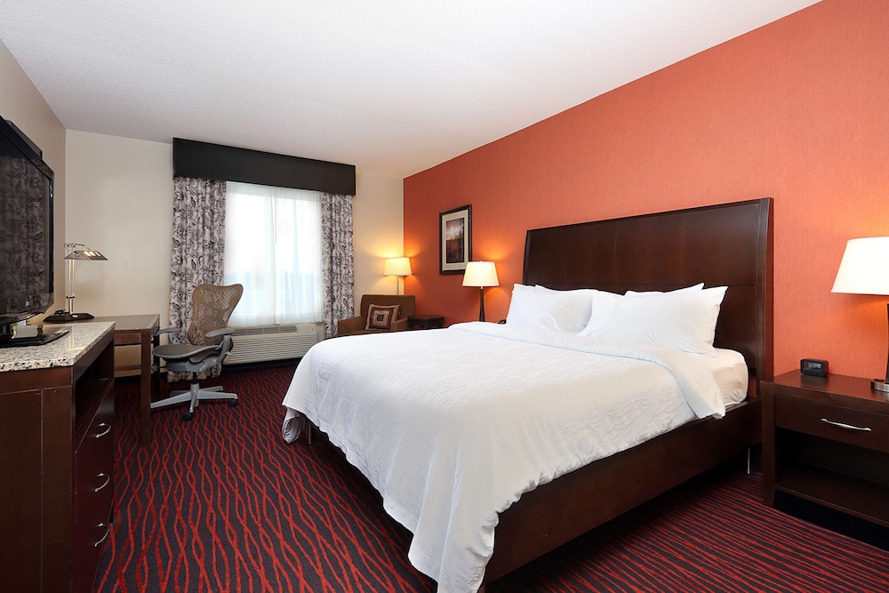 Room, 1 King Bed (Evolution) - Photo 2
