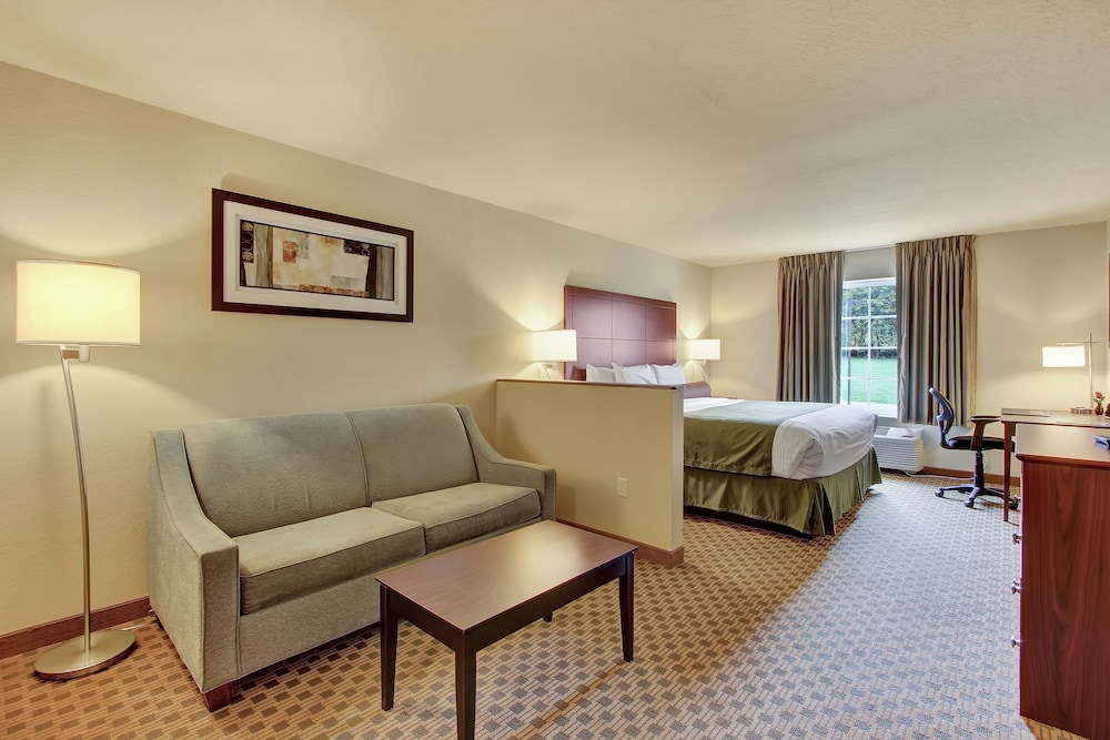 Studio Suite, 1 King Bed with Sofa bed, Non Smoking