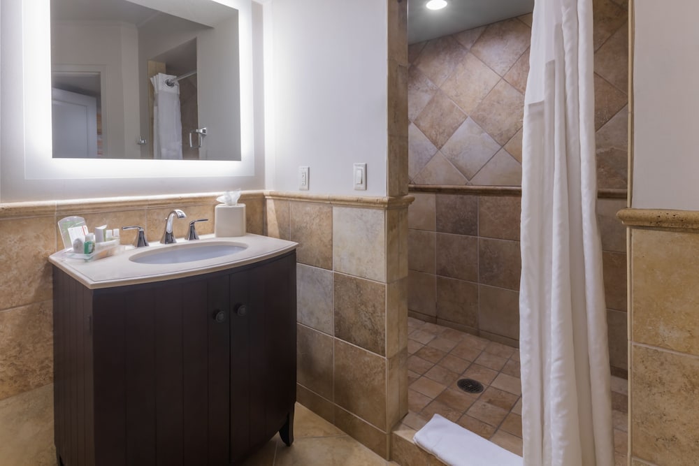 Suite, 1 Bedroom, Roll-in Shower (Mobility) - Photo 6