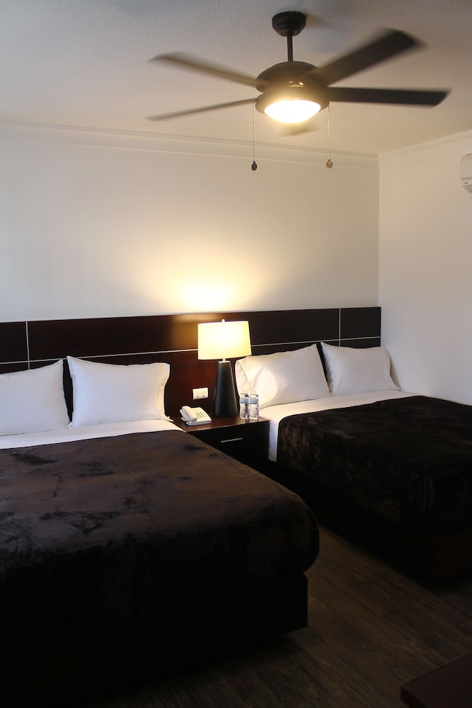 Executive Double Room, 2 Double Beds photo 3