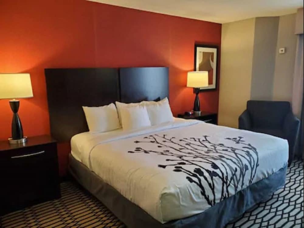 Room, 1 King Bed, Accessible, Non Smoking photo 3