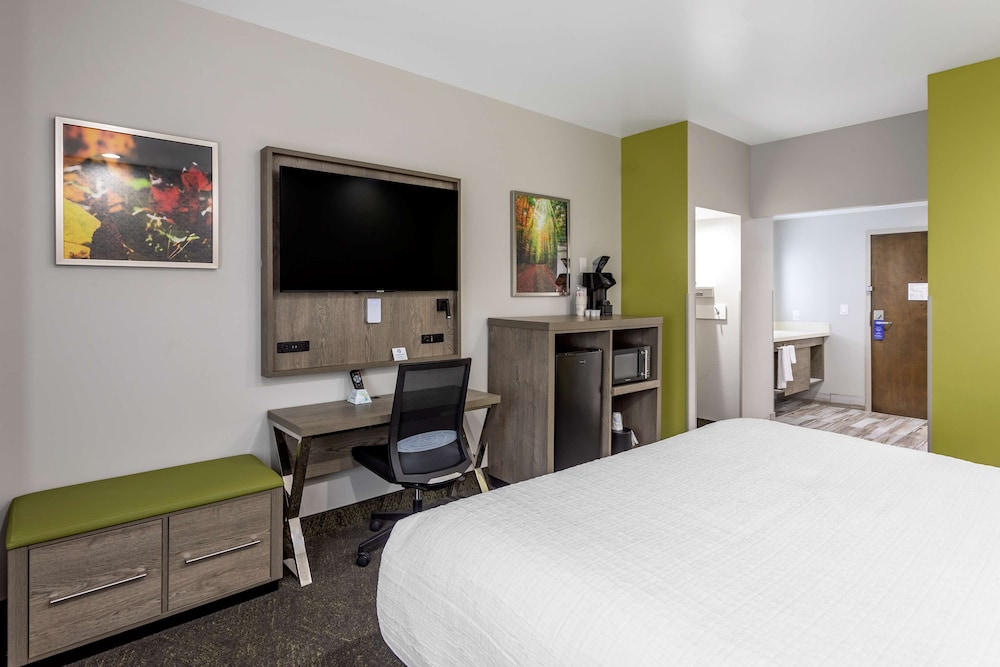 Standard Room, 1 King Bed, Non Smoking, Refrigerator & Microwave photo 2