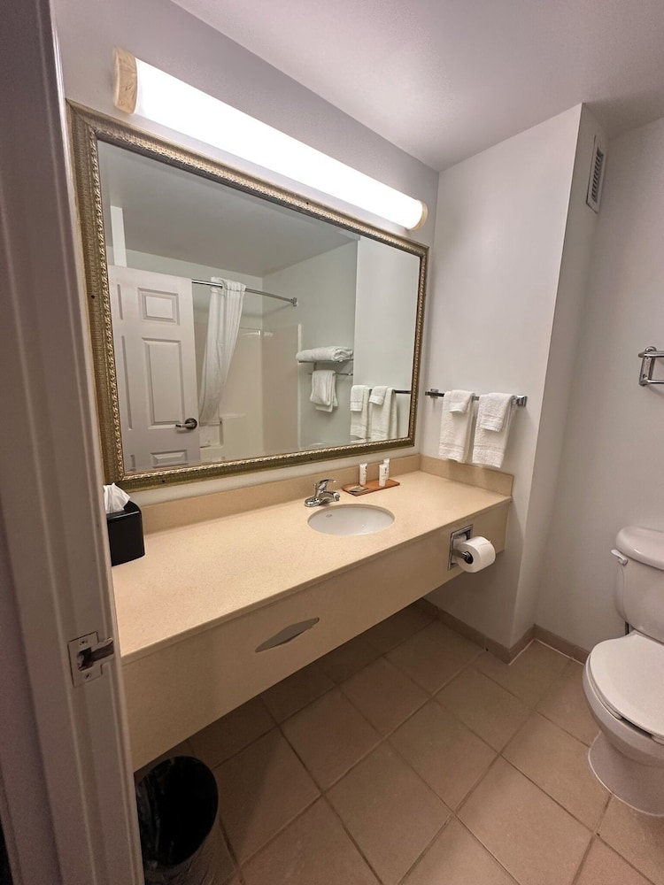 Deluxe Studio Suite, 1 King Bed, Non Smoking photo 3