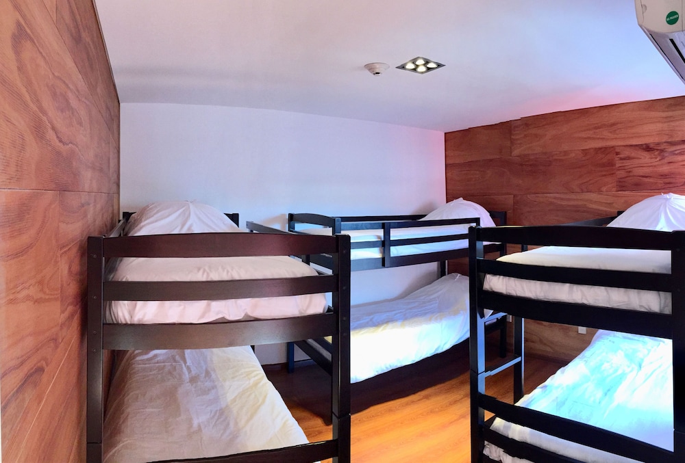 Shared Dormitory photo 1