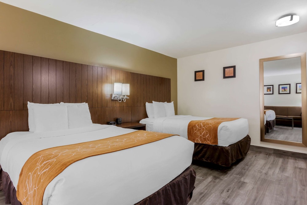 Suite, Non Smoking - Photo 1