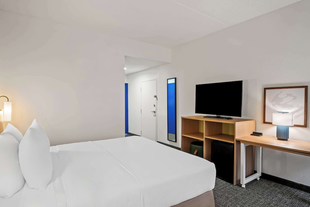 Room, 1 King Bed, Accessible (Roll-In Shower)