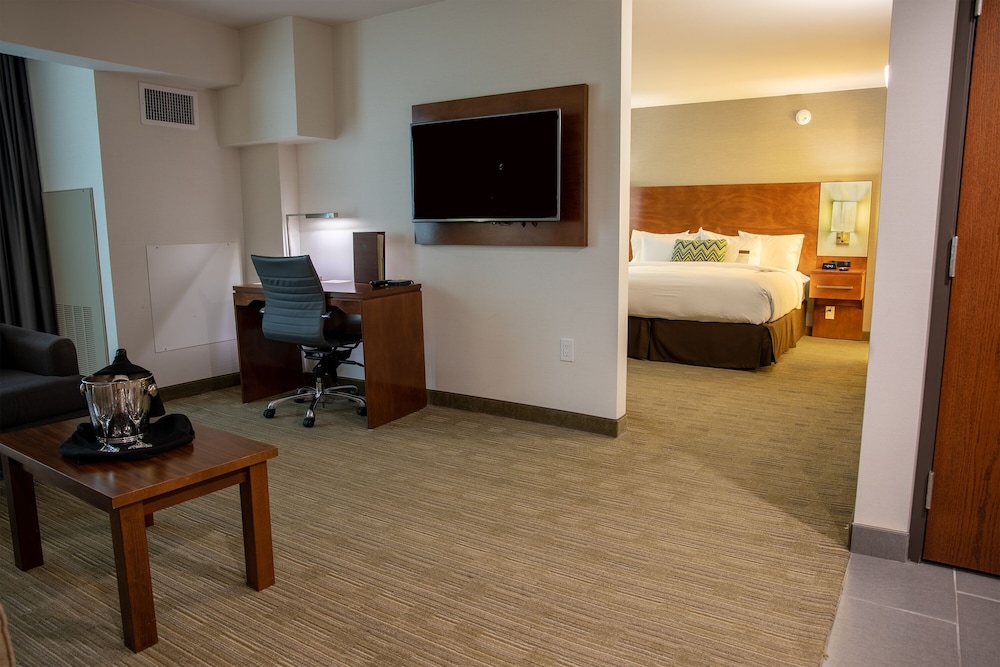 Suite, 1 Queen Bed, Accessible - Photo 4