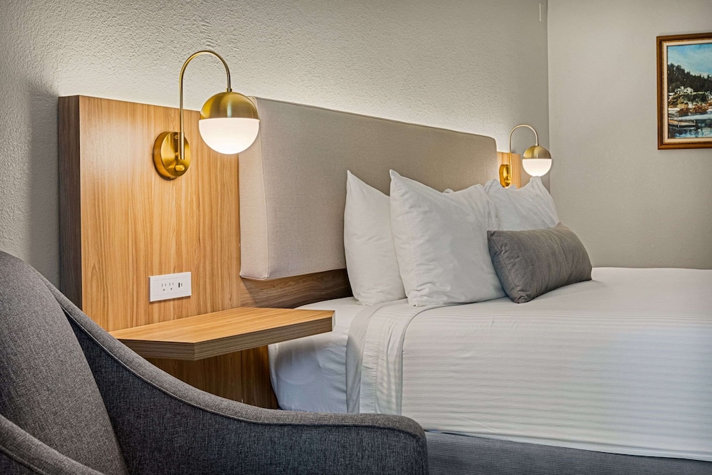 Standard Room, 1 King Bed, Accessible, Bathtub - Photo 2