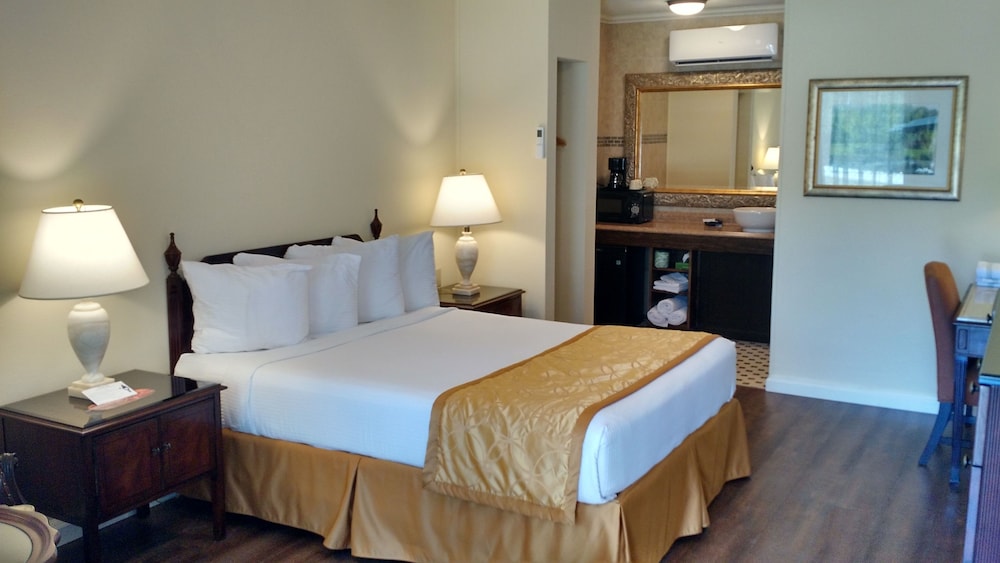 Deluxe Single Room, 1 Queen Bed, Refrigerator & Microwave, Mountain View, No Pets