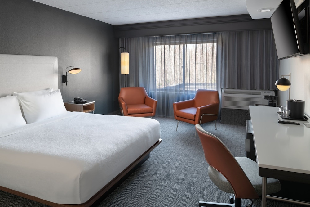 Room, 1 King Bed with Sofa bed (Mobility/Hearing Access, Roll-In Shwr) - Photo 3