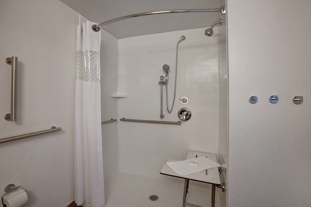 Room, 1 King Bed, Accessible, Refrigerator & Microwave (Roll-In Shower) - Photo 6