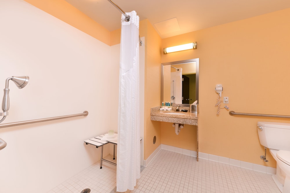 Standard Room, 1 King Bed, Roll-in Shower (Communications Accessible) - Photo 3