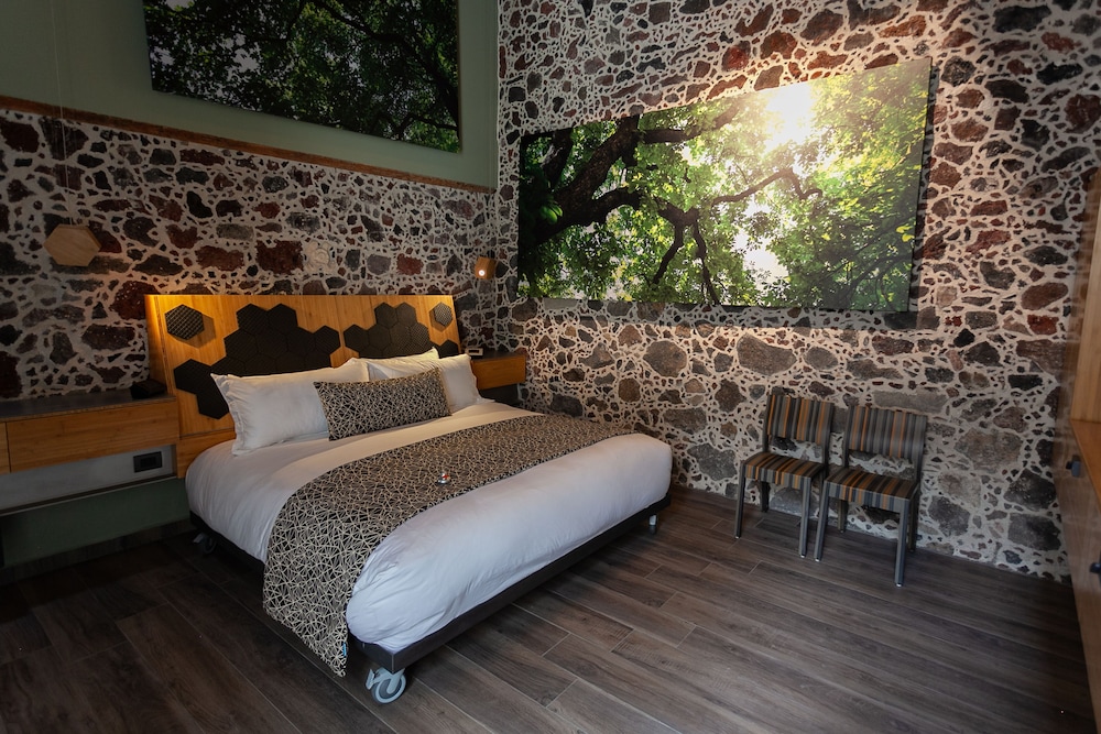 Premium Suite, 1 King Bed photo 1