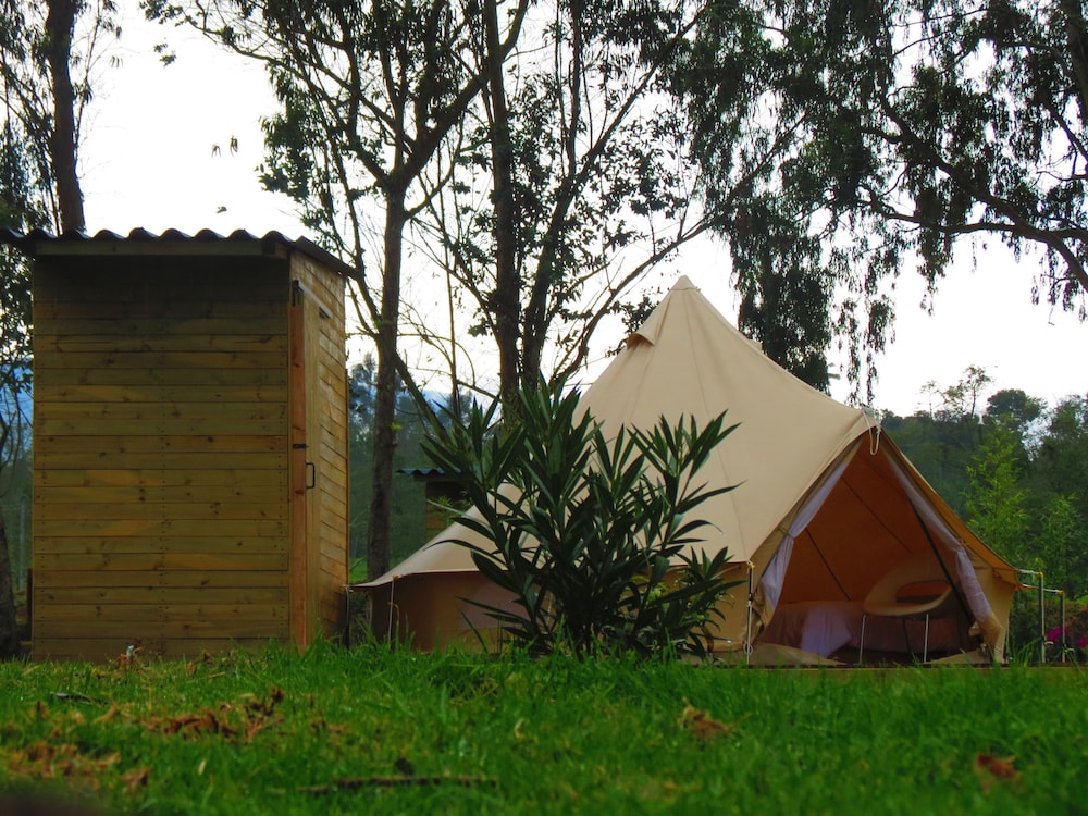 Premium Tent, Multiple Beds photo 2