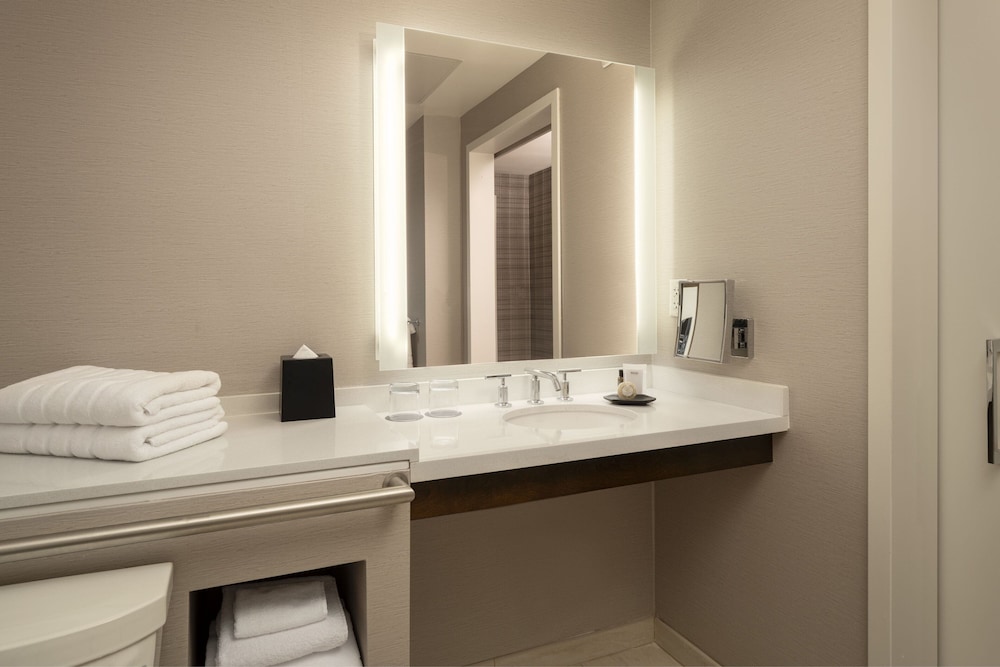 Room, 1 King Bed, Park View (Mobility/Hearing Access, Roll-In Shwr) - Photo 8