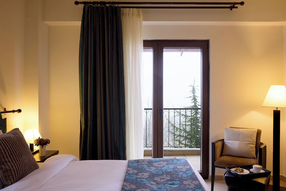 Superior Double Room photo 3