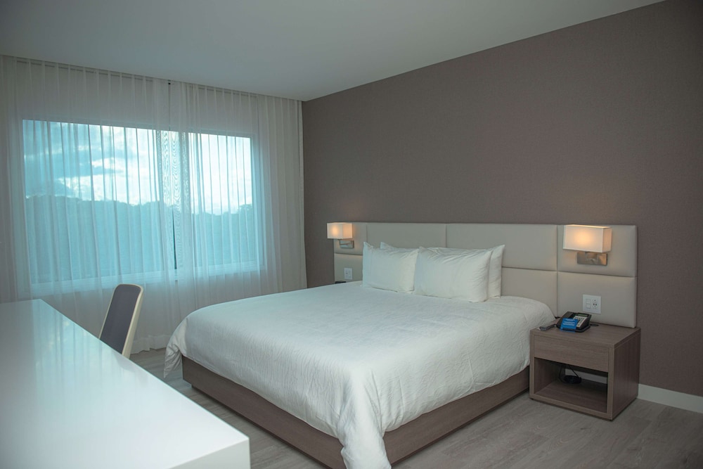 Junior Suite, 1 King Bed - Photo 1