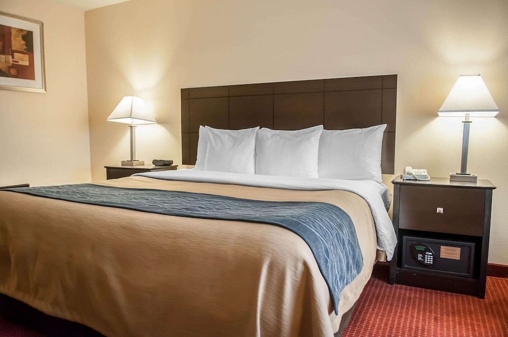 Standard Room, 1 King Bed, Non Smoking (First Floor) - Photo 6