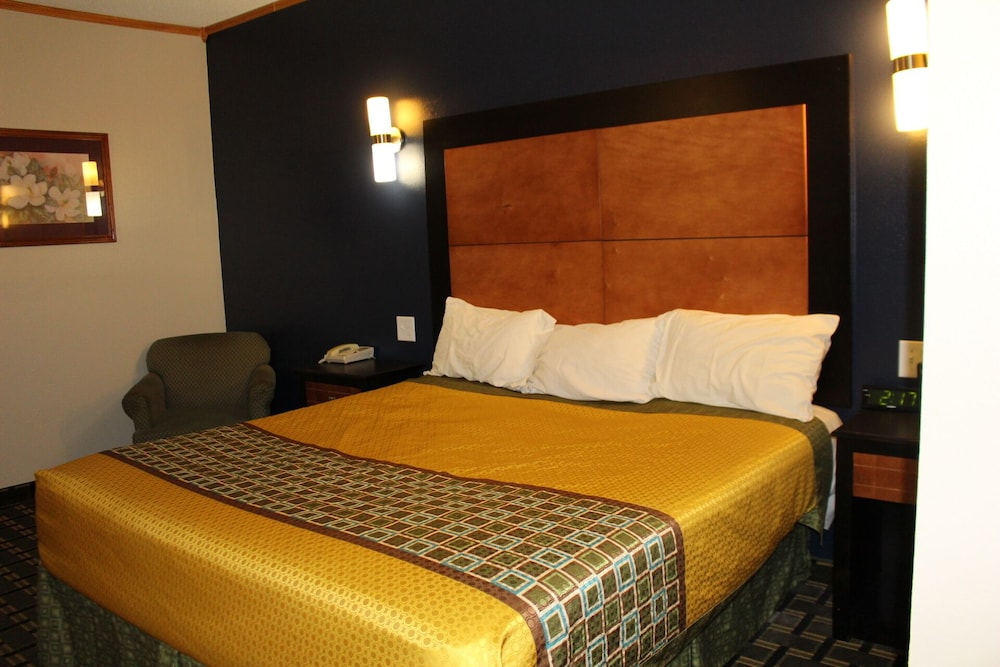 Single Room photo 1