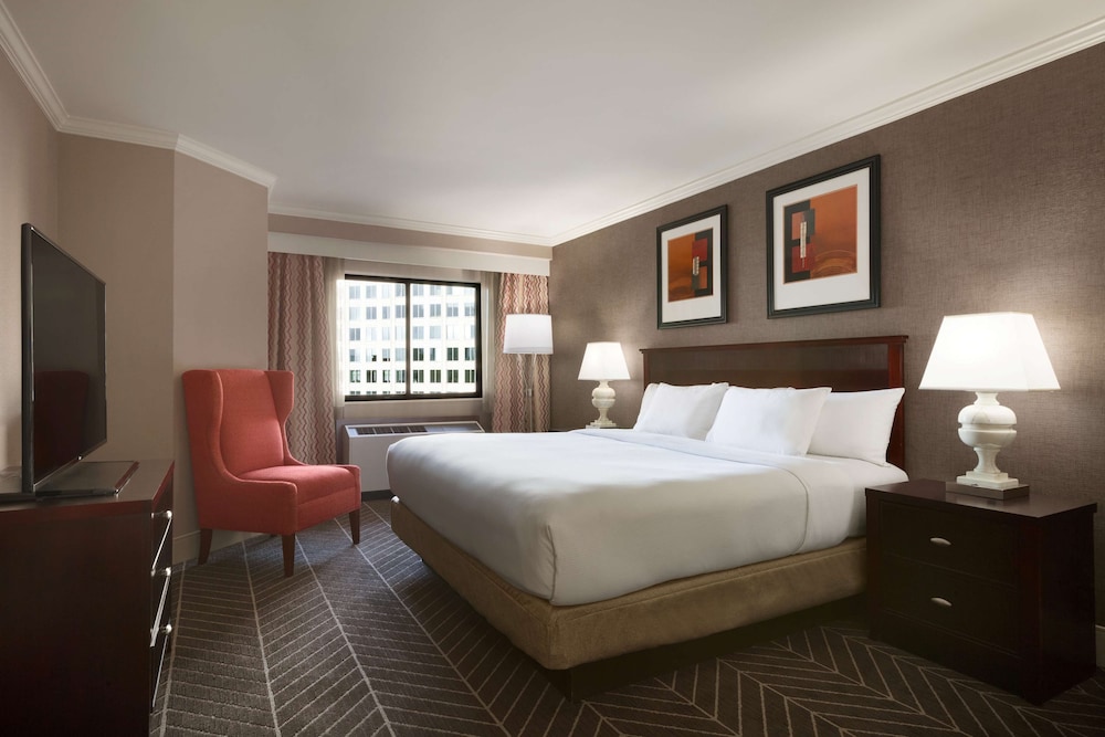 Executive Suite, 1 Bedroom photo 2