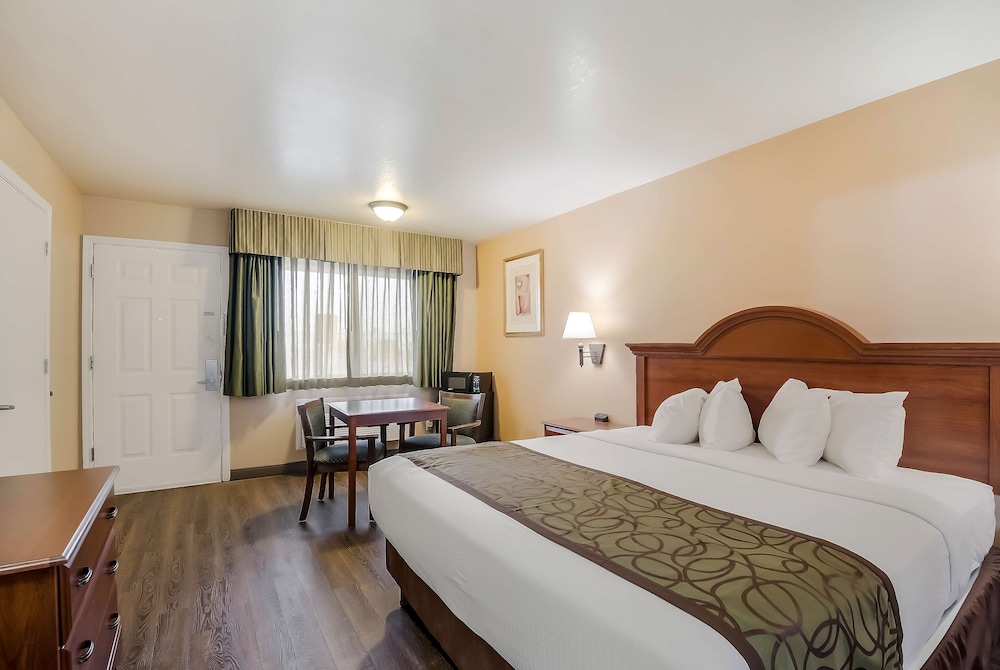 Standard Room, 1 King Bed, Non Smoking, Microwave - Photo 1