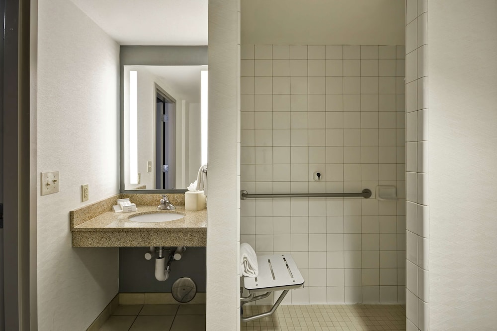 Room, 1 King Bed, Accessible - Photo 7