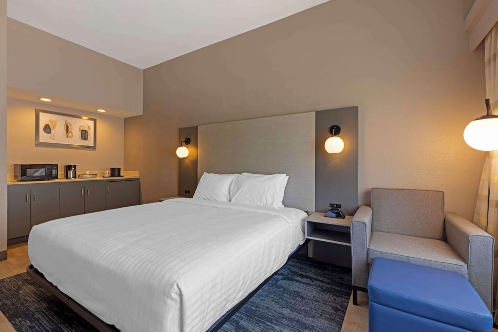 Standard Room, 1 King Bed, Accessible, Refrigerator & Microwave photo 2