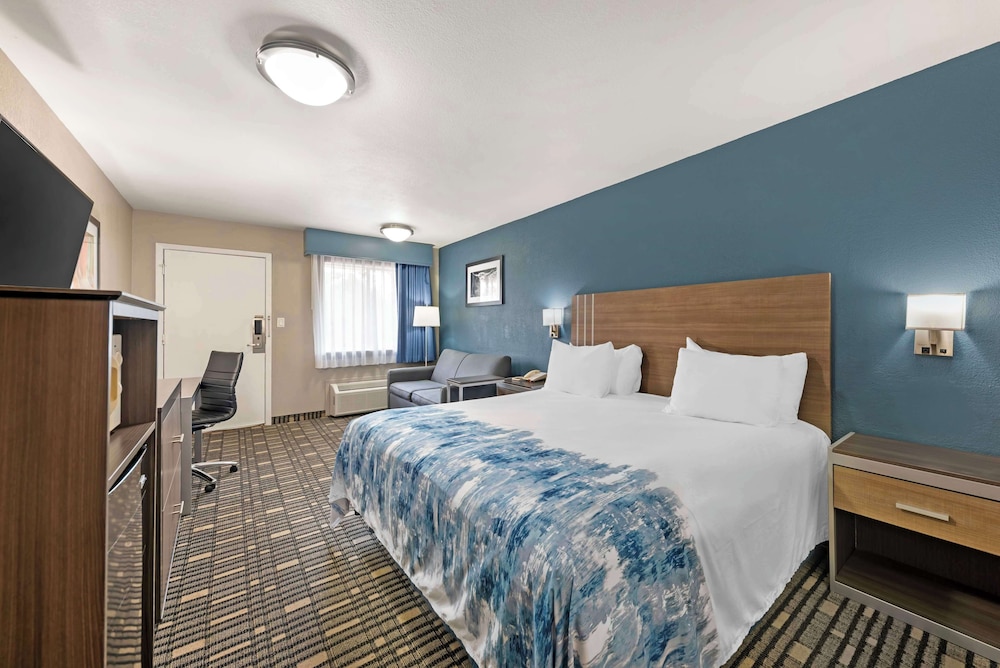 Standard Room, 1 King Bed, Accessible, Refrigerator & Microwave (with Sofabed)