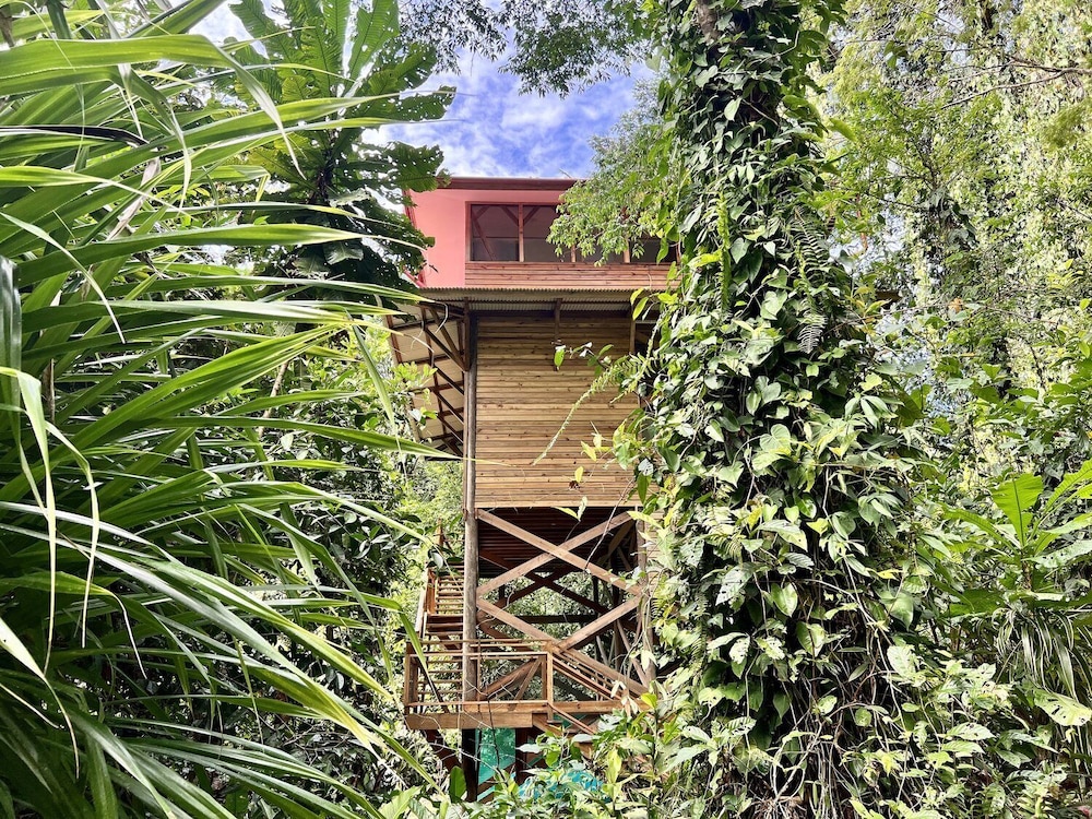 Panoramic Tree House photo 1