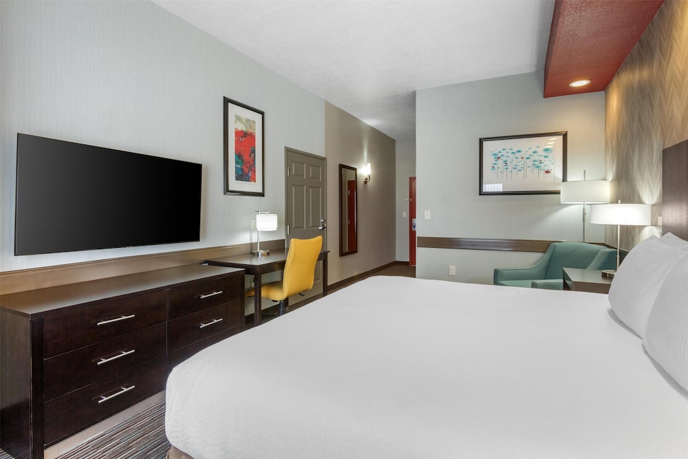 Standard Room, 1 King Bed, Accessible, Non Smoking