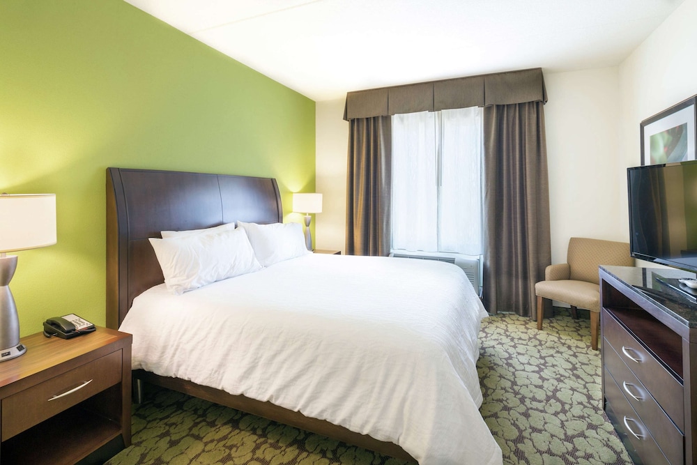 Suite, 1 King Bed - Photo 1