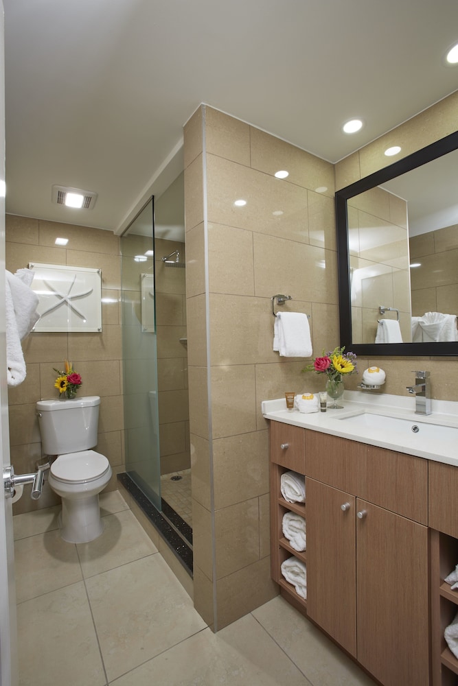 Studio Suite - Photo 6