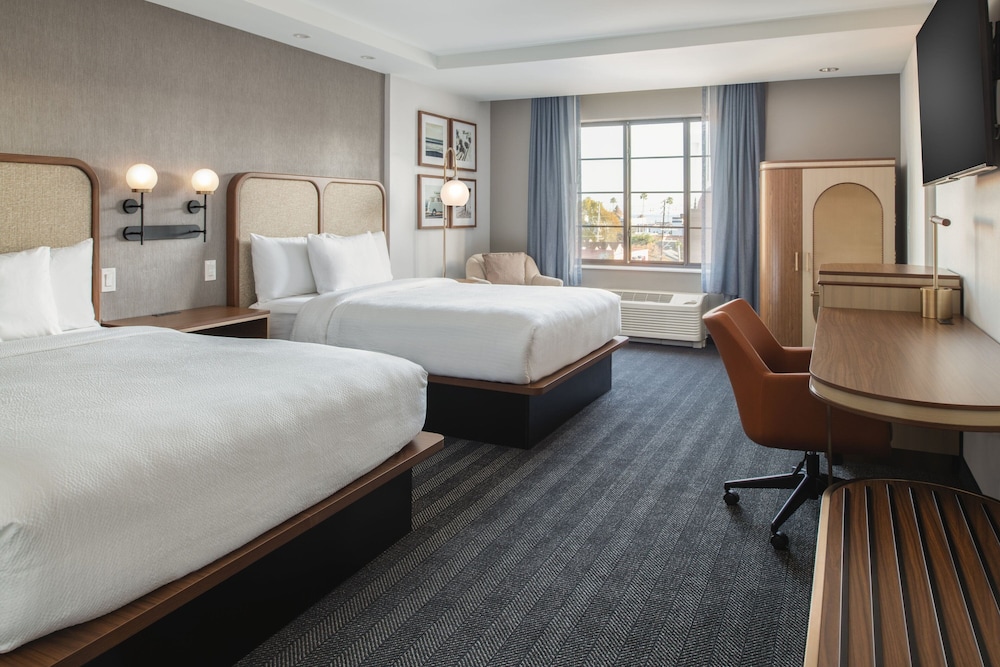 Studio Suite, Multiple Beds - Photo 4