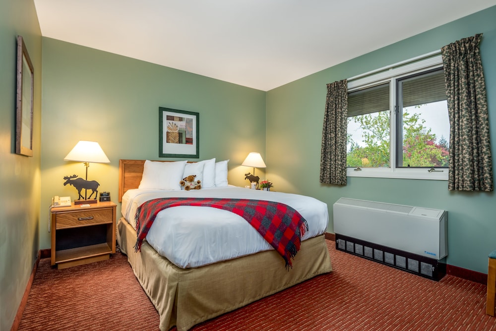 Suite, 1 Queen Bed with Sofa bed photo 2