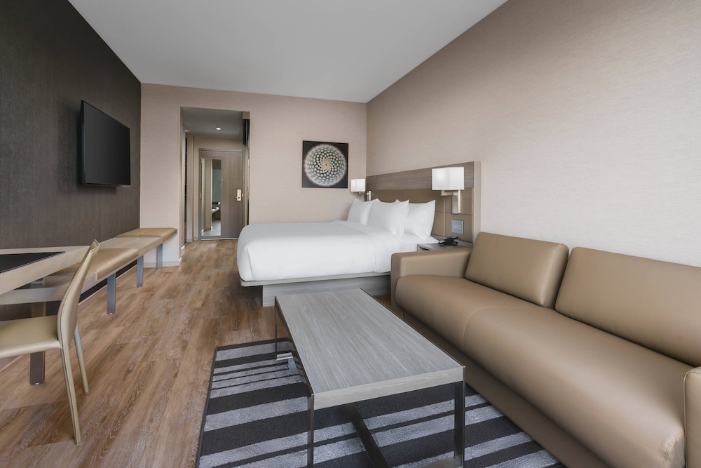 Room, 1 King Bed with Sofa bed (Mobility/Hearing Access, Roll-In Shwr) - Photo 6