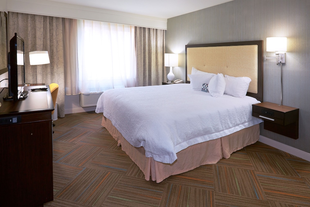 Room, 1 King Bed, Accessible (Roll-In Shower) - Photo 2