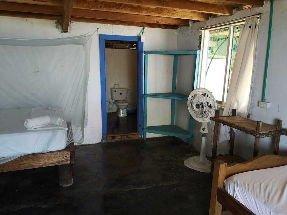 Traditional Room photo 2