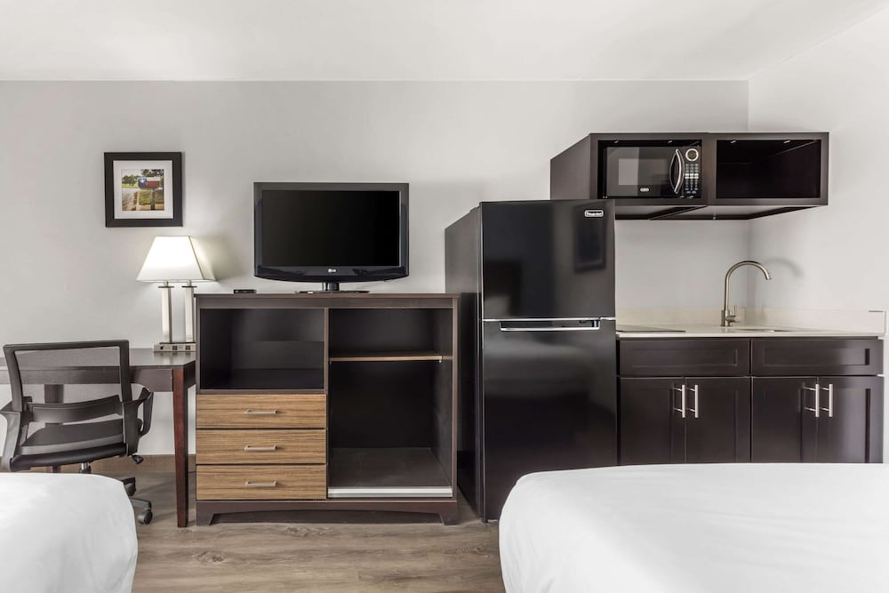 Suite, 1 King Bed, Non Smoking (Efficiency) photo 1