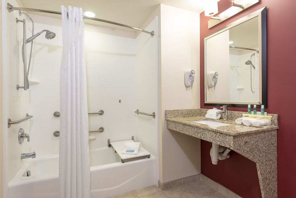 Standard Room, 1 King Bed, Accessible (Comm Mobil Acc Roll In Shwr) - Photo 4