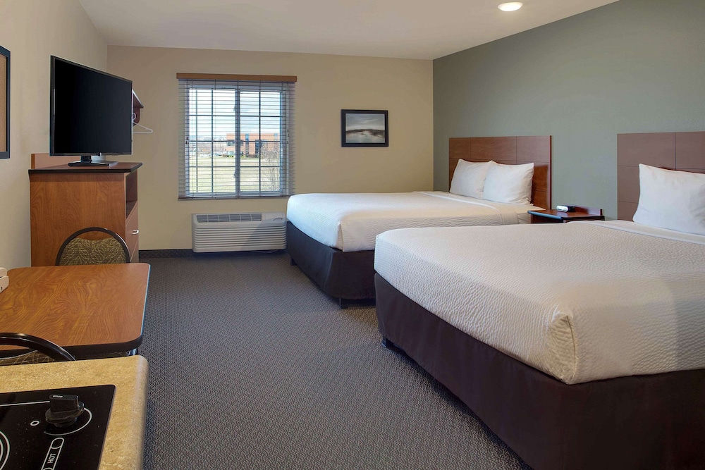 Standard Studio, 2 Queen Beds, Kitchen photo 1