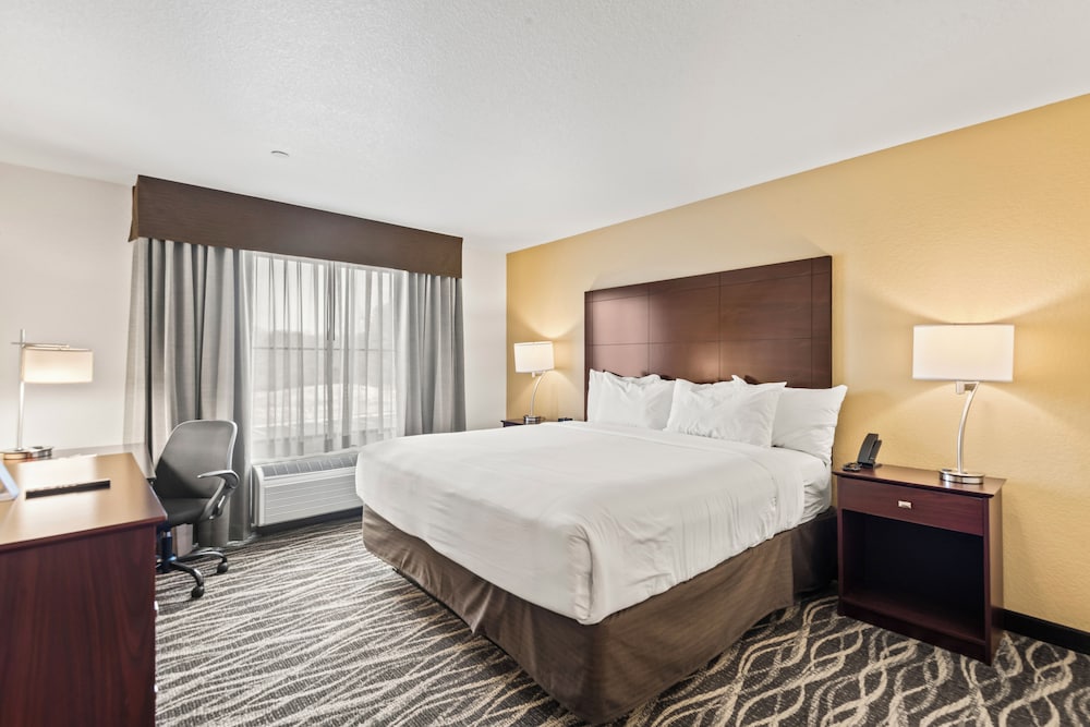 Room, 1 King Bed, Mobility Accessible, Non Smoking (Single King Accessible Guestroom)
