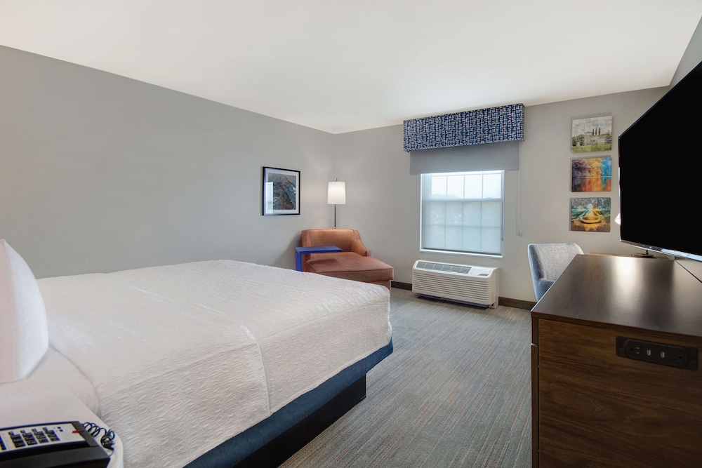Accessible Room, 1 King Bed, Roll-In Shower - Photo 4